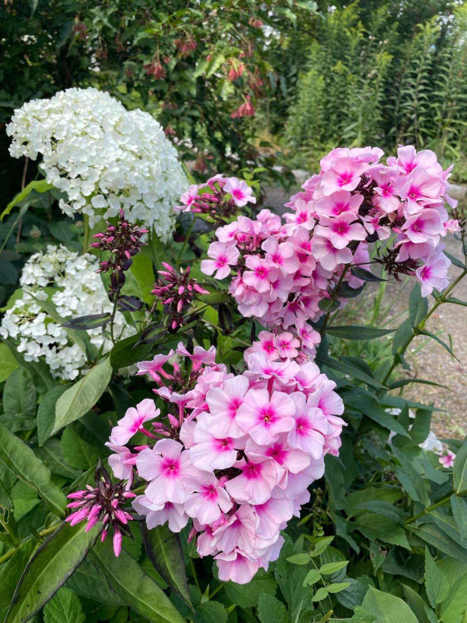 Pajula B&B Järvenpää 외부 사진